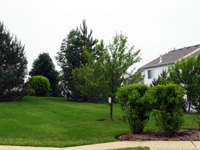 Rolling Oaks Townhomes Townhomes Rolling Oaks