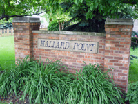 Homes For Sale Mallard Point