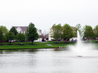 Orchard Crossing Homes Homes Orchard Crossing