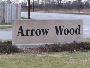 Homes For Sale Arrow Wood