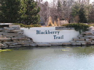 Homes For Sale Blackberry Trail