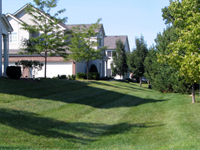 Townhomes For Sale Park Avenue Park Avenue Realtor
