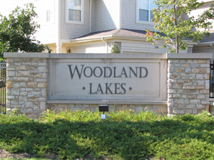 Townhomes For Sale Woodland Lakes