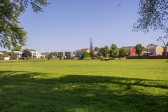 Homes with Green Space Carpentersville